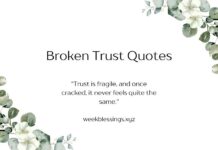Broken Trust Quotes Broken Trust Quotes